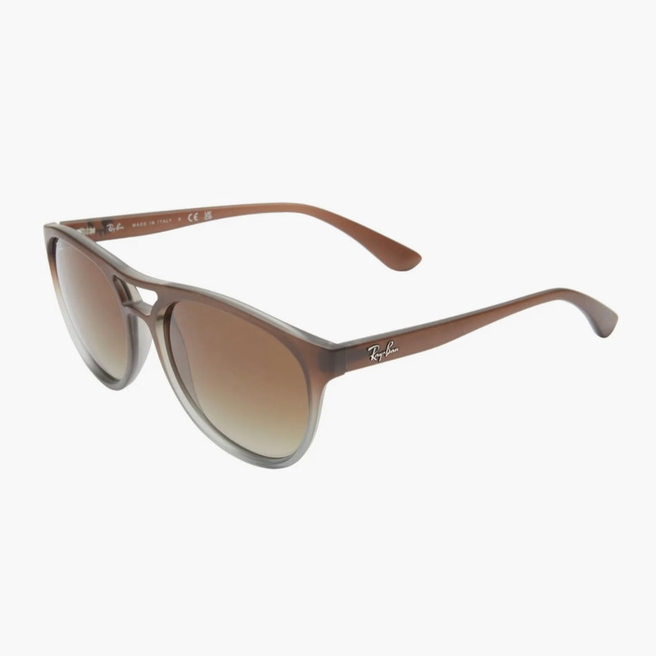 RAY-BAN WAYFARER SUNGLASSES