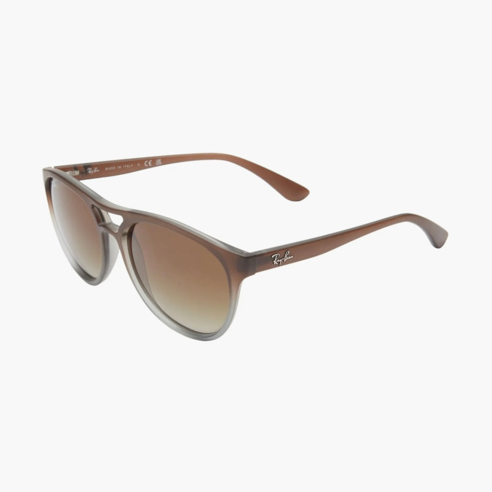 RAY-BAN WAYFARER SUNGLASSES