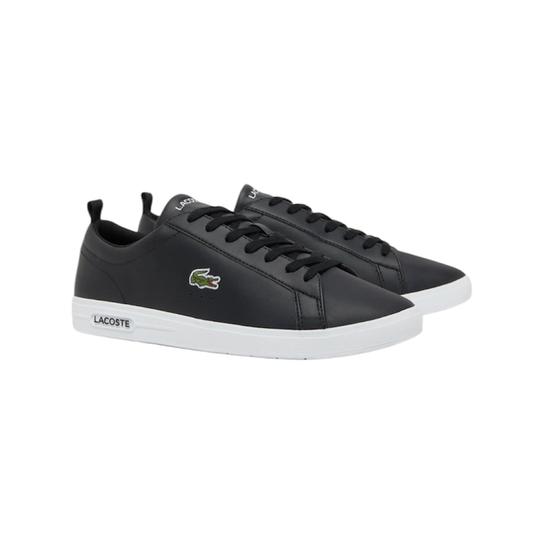 LACOSTE LOW TOP SNEAKER (MEN)