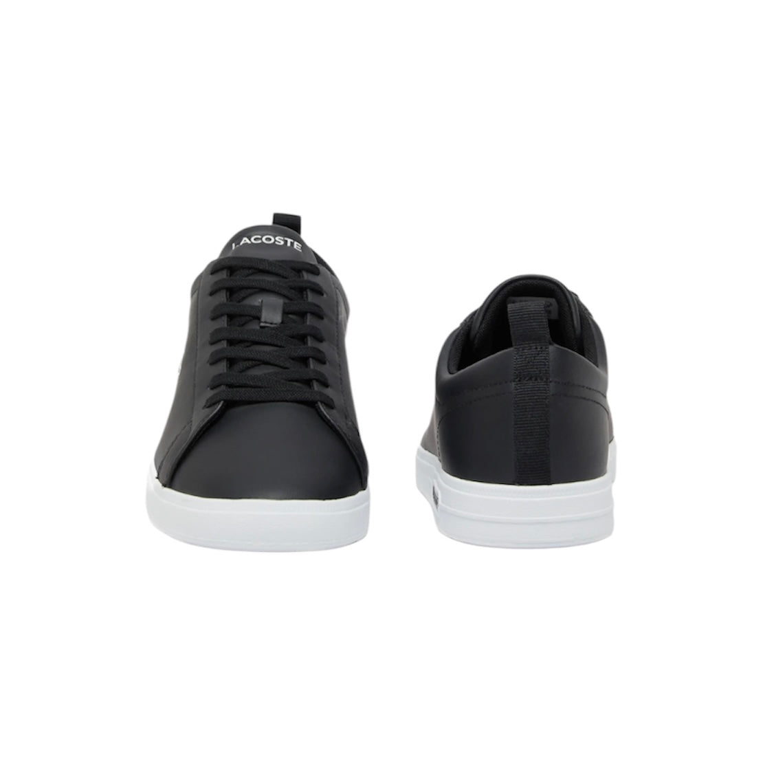 LACOSTE LOW TOP SNEAKER (MEN)