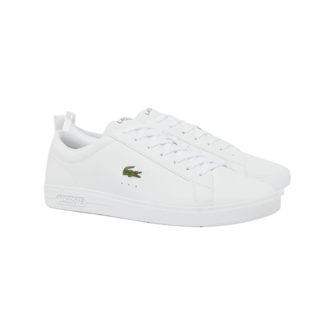 LACOSTE LOW TOP SNEAKER (MEN)