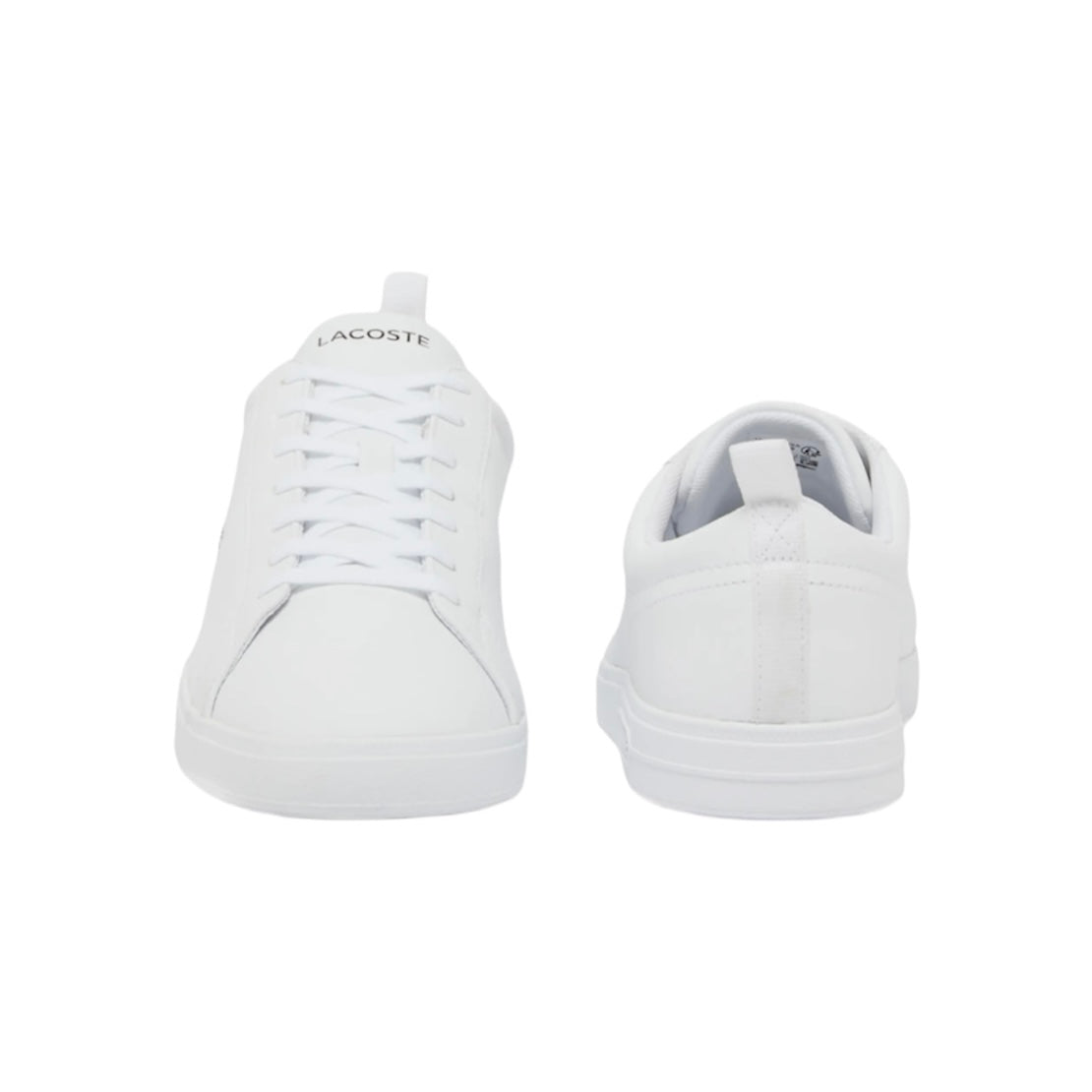 LACOSTE LOW TOP SNEAKER (MEN)