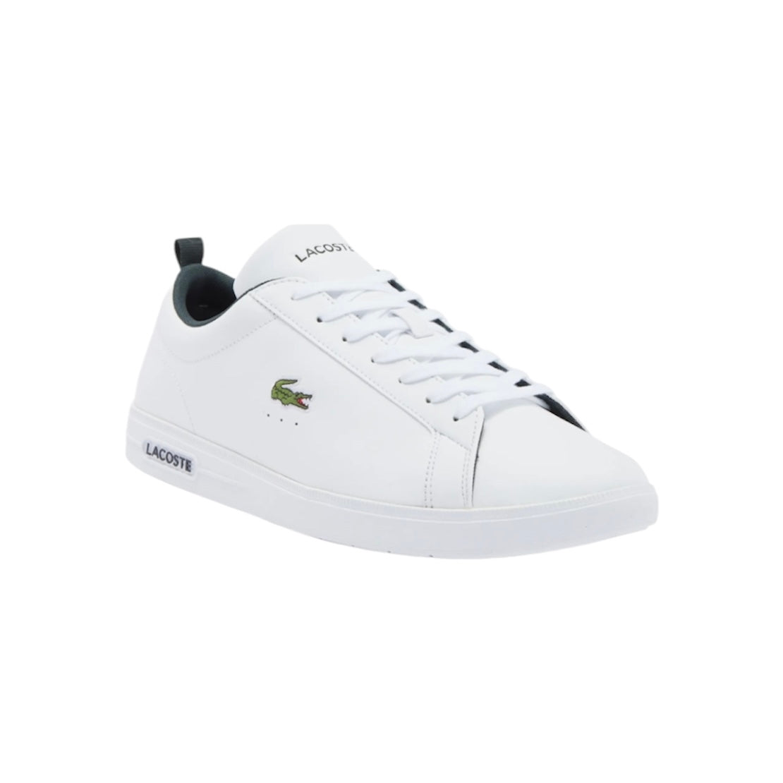 LACOSTE LOW TOP SNEAKER (MEN)