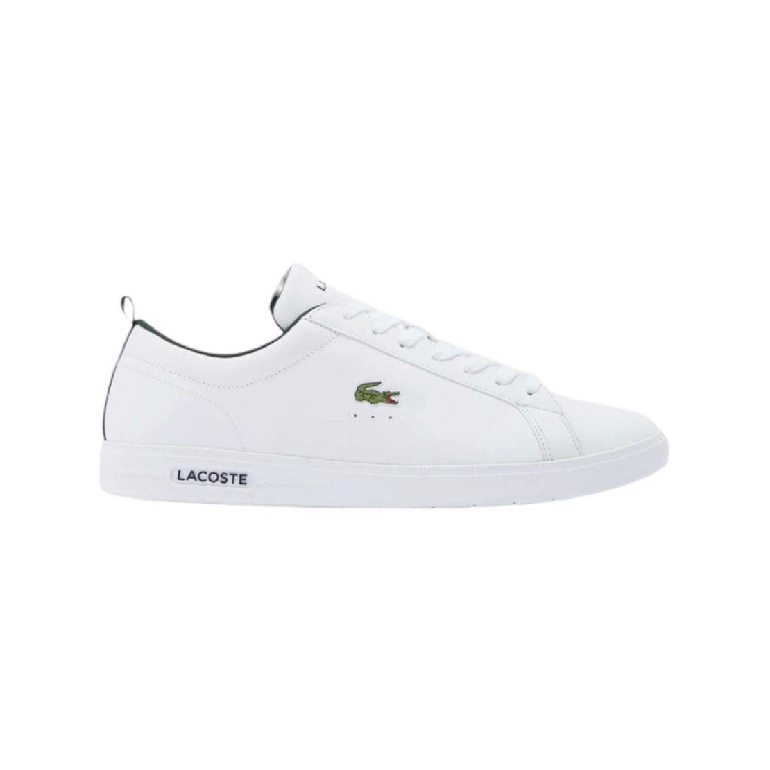 LACOSTE LOW TOP SNEAKER (MEN)
