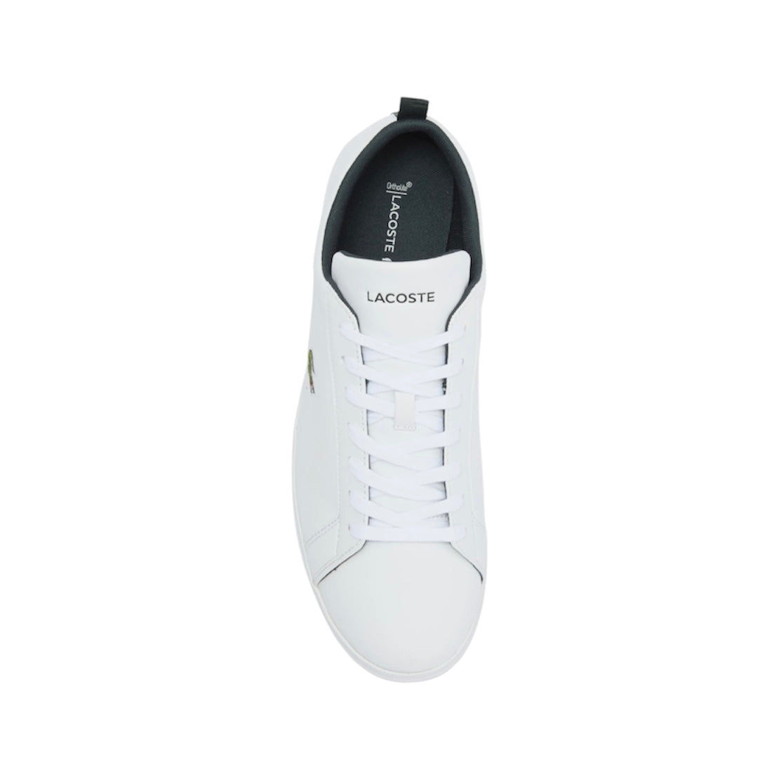 LACOSTE LOW TOP SNEAKER (MEN)