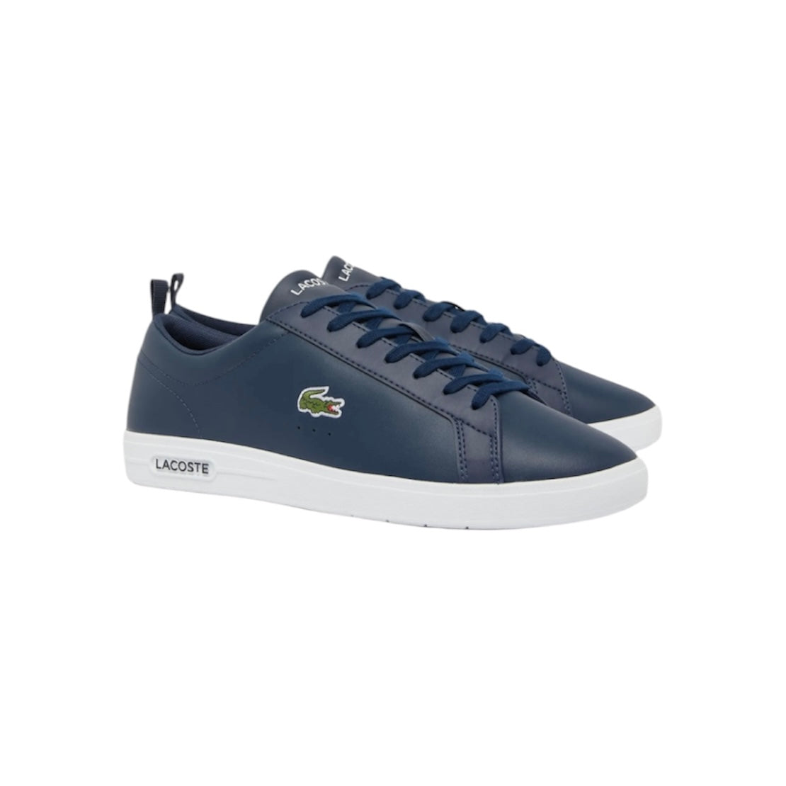 LACOSTE LOW TOP SNEAKER (MEN)