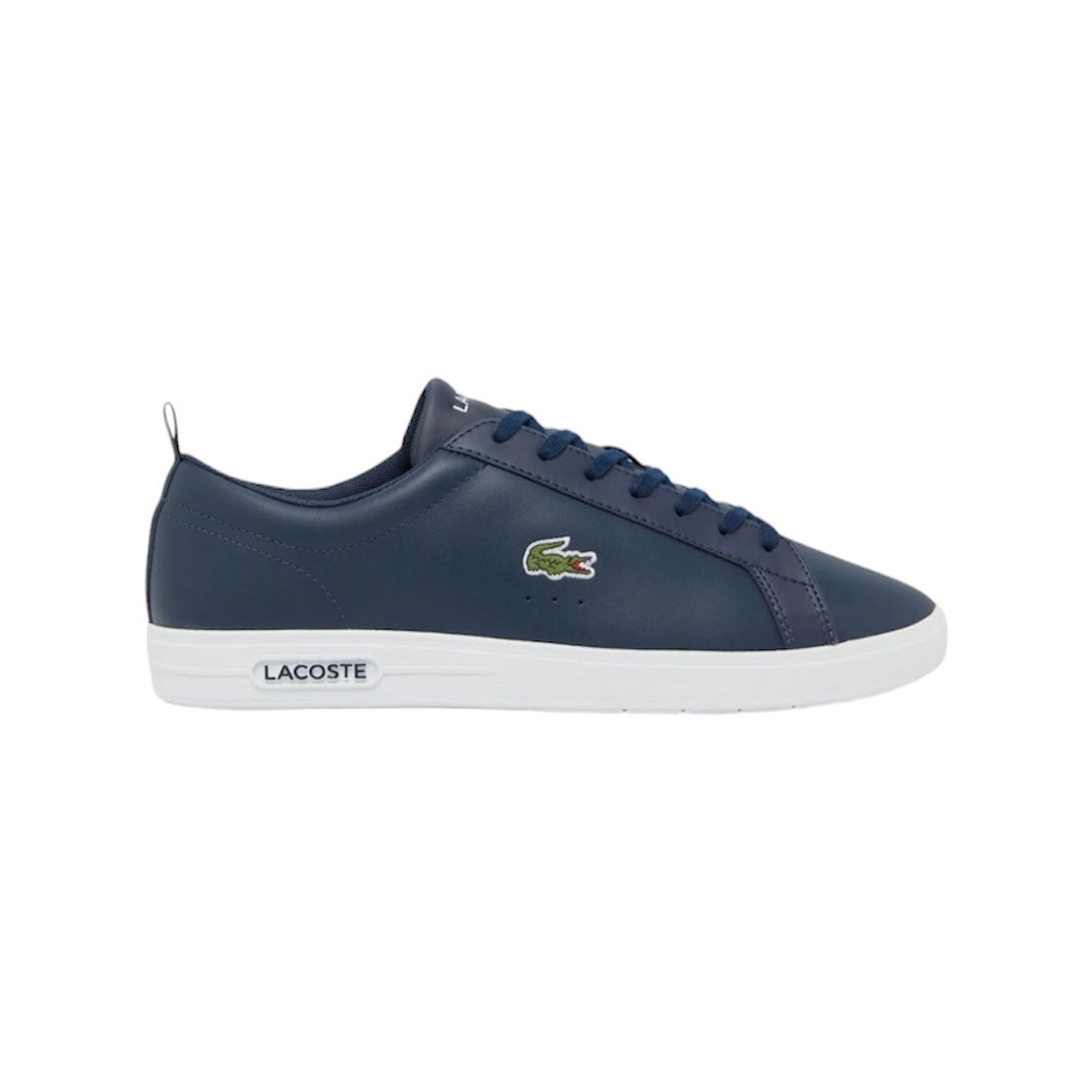 LACOSTE LOW TOP SNEAKER (MEN)