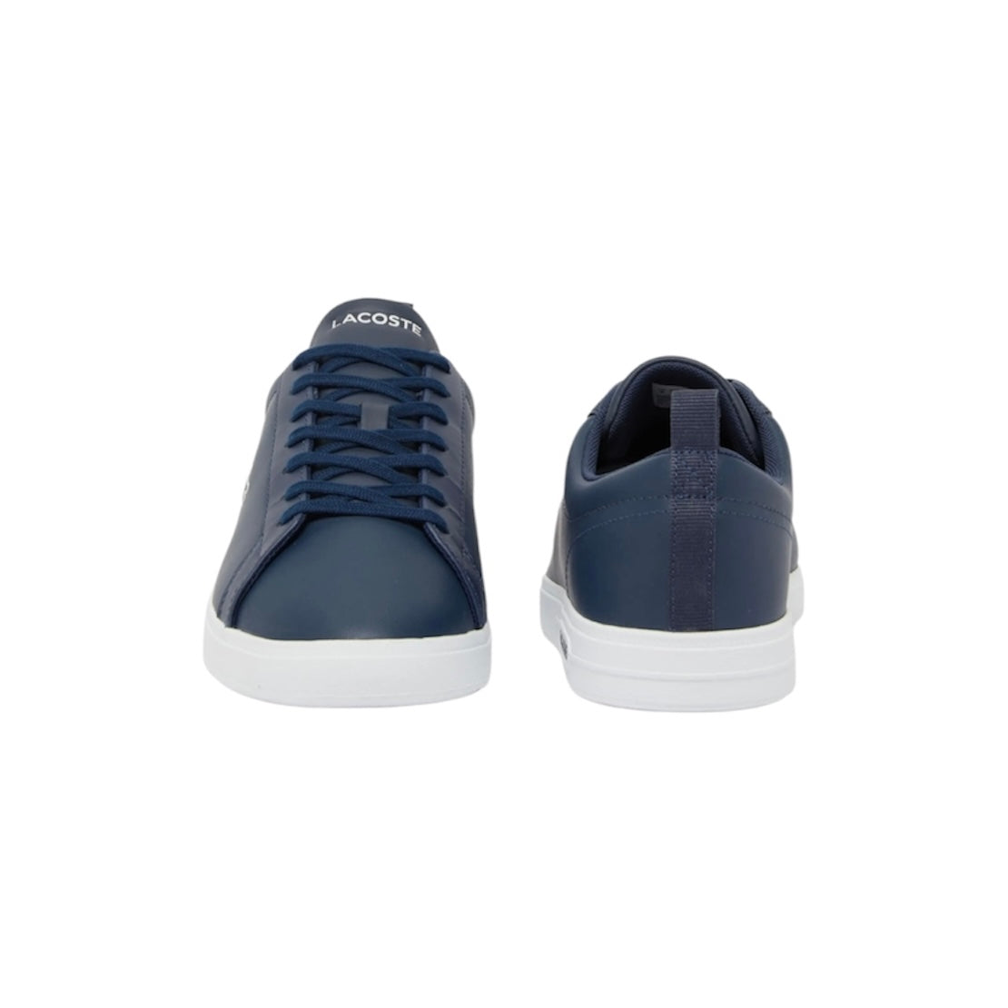 LACOSTE LOW TOP SNEAKER (MEN)