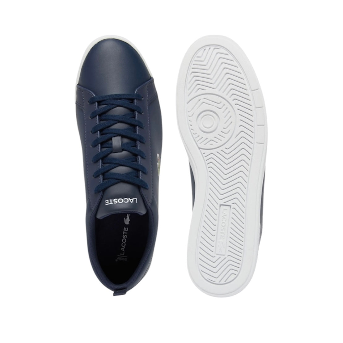 LACOSTE LOW TOP SNEAKER (MEN)