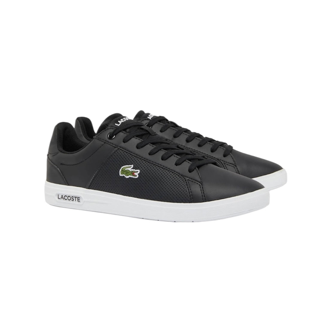 LACOSTE LOW TOP COURT SNEAKER (MEN)