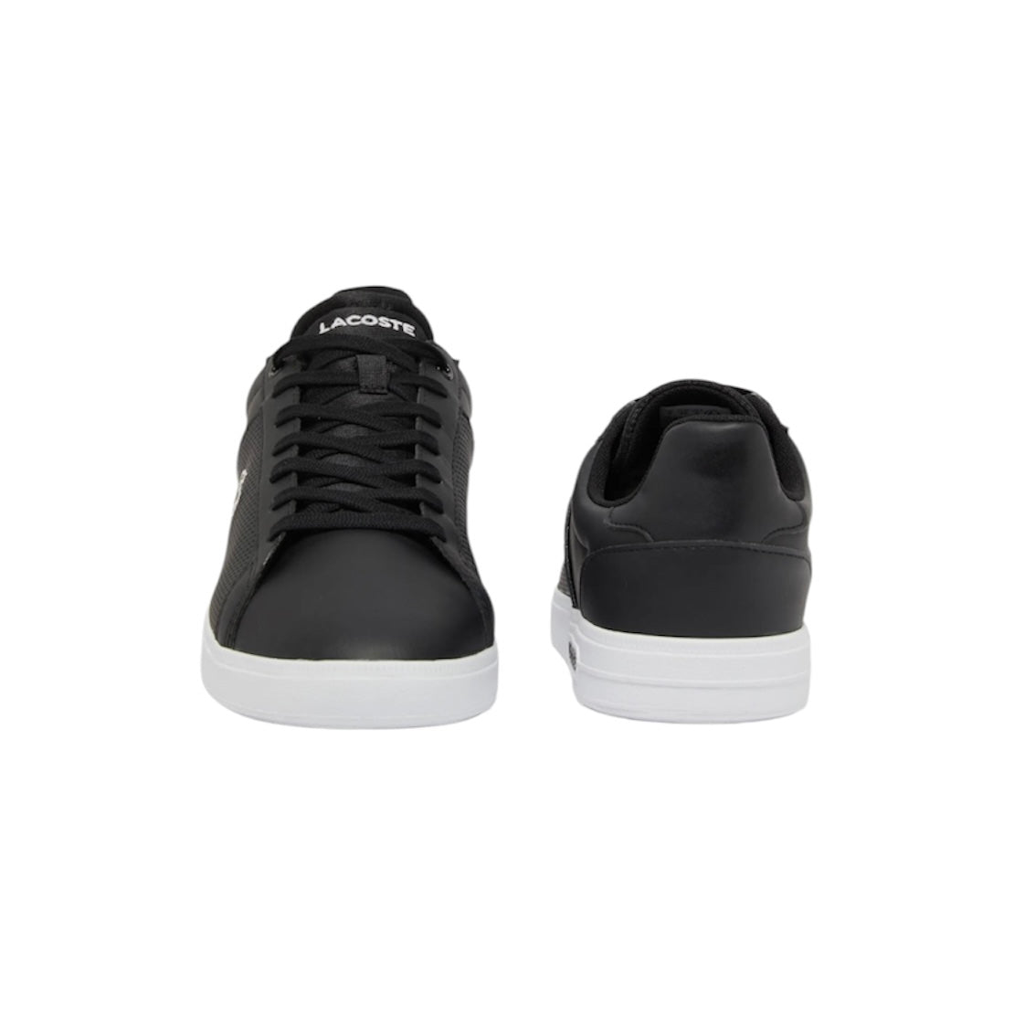 LACOSTE LOW TOP COURT SNEAKER (MEN)