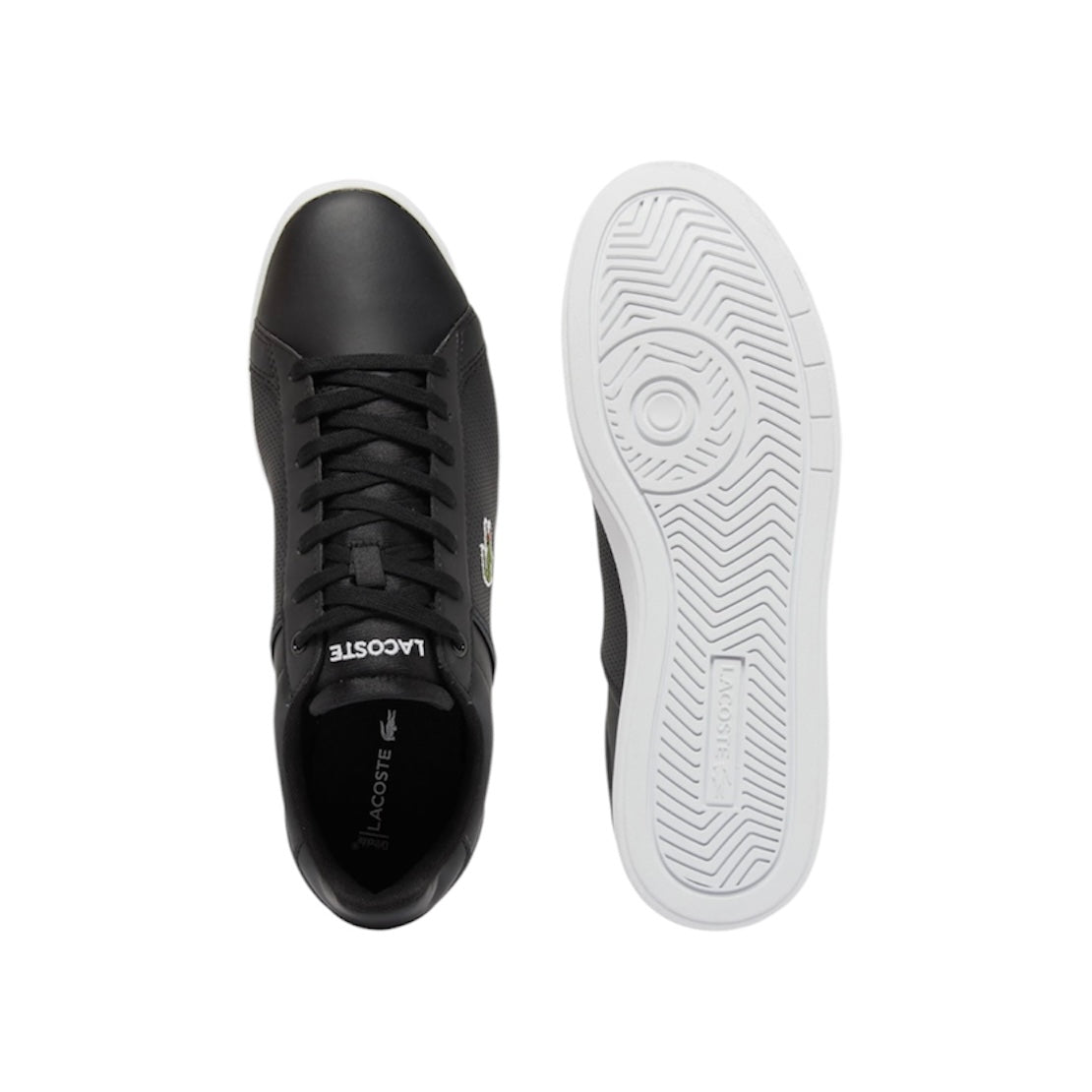 LACOSTE LOW TOP COURT SNEAKER (MEN)