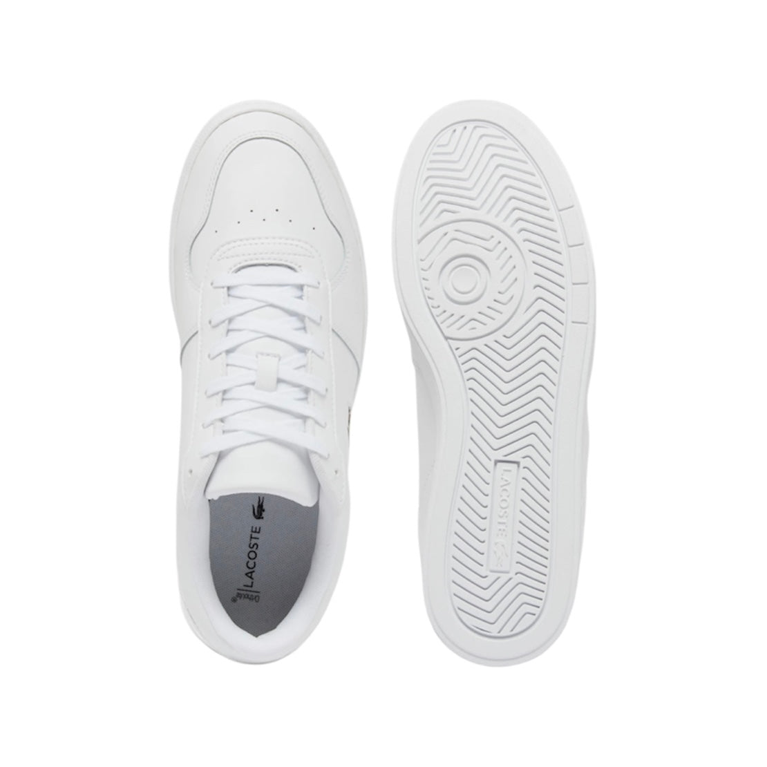 LACOSTE LOW TOP SNEAKER (MEN)